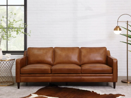 Ashtabula Genuine Leather Square Arm Sofa For Discount