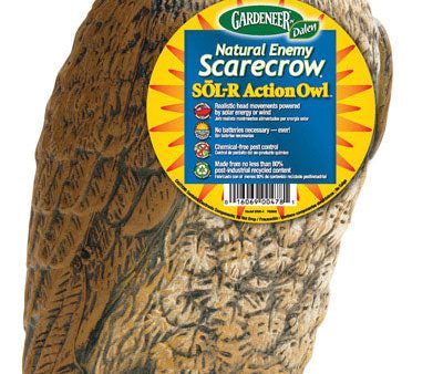 Dalen Scarecrow Owl Animal Repellent Decoy For All Pests Online Sale